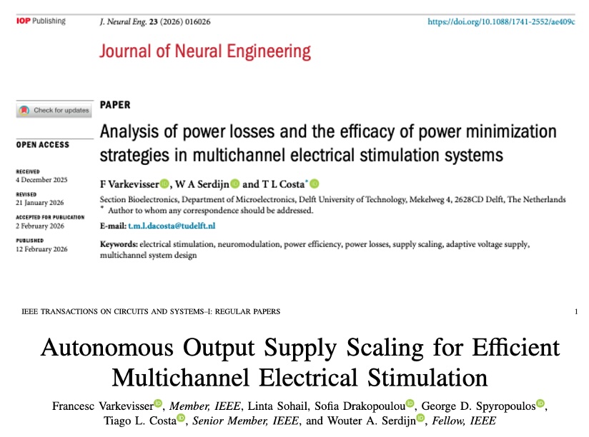Two journal papers on the power efficiency of electrical neurostimulation