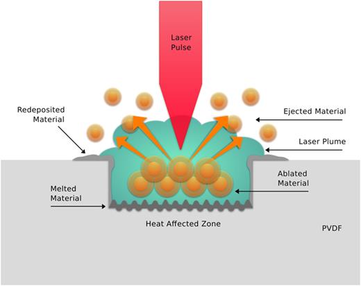 Ablation of piezoelectric polyvinylidene fluoride with a 193 nm excimer laser