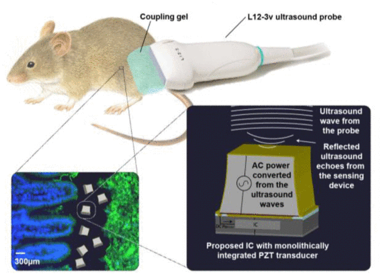 A 0.065-mm sup 3 sup Monolithically-Integrated Ultrasonic Wireless Sensing Mote for Real-Time Physiological Temperature Monitoring