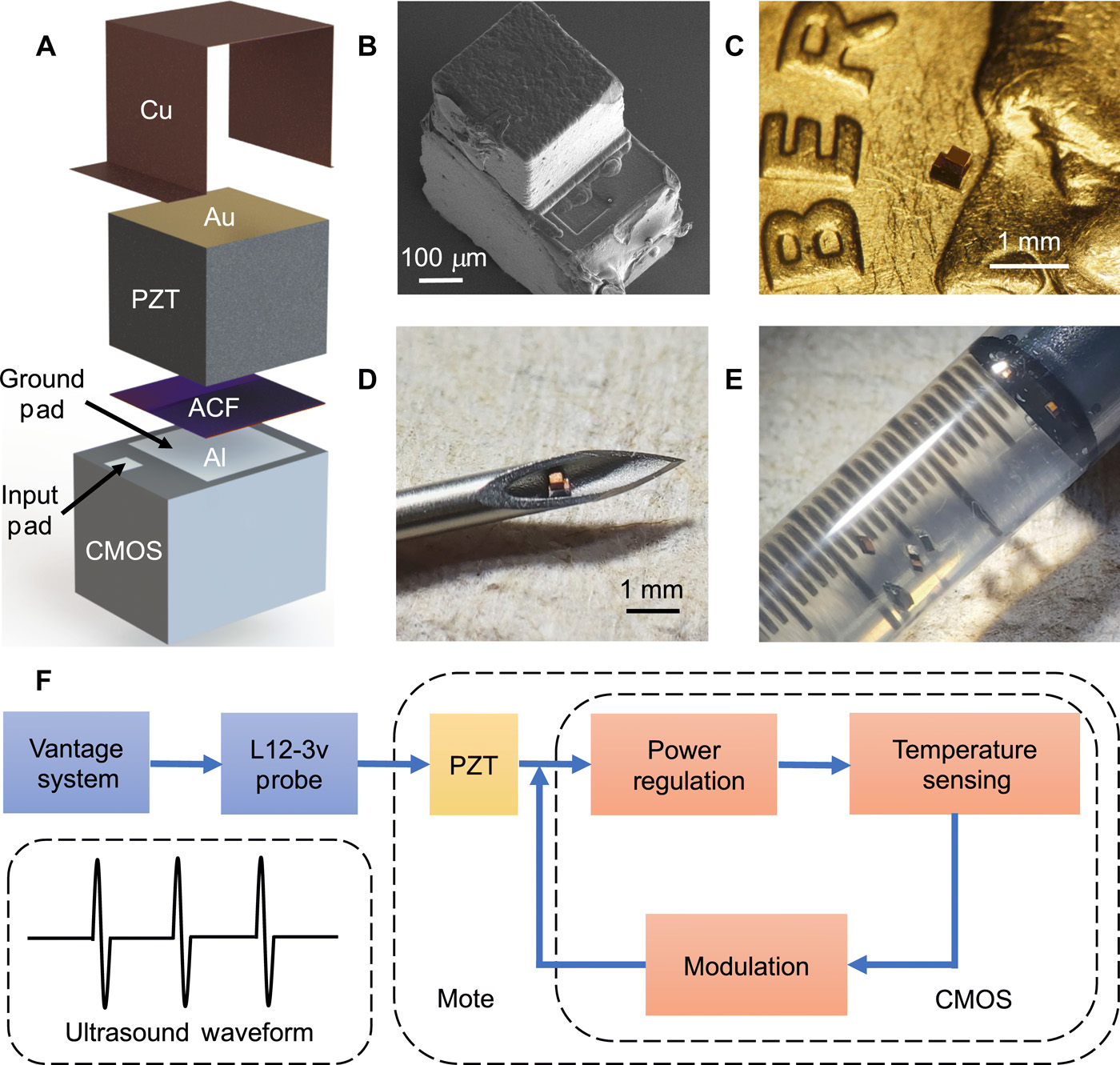 Application of a sub 0.1-mm sup 3 sup implantable mote for in vivo real-time wireless temperature sensing