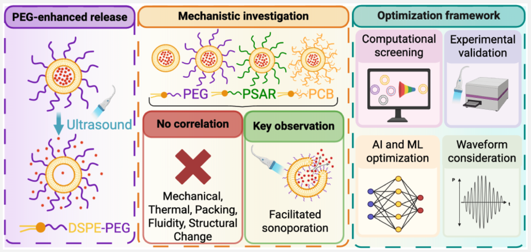 Unraveling the Mechanism of PEG-Enhanced Ultrasound-Triggered Release from Liposomes