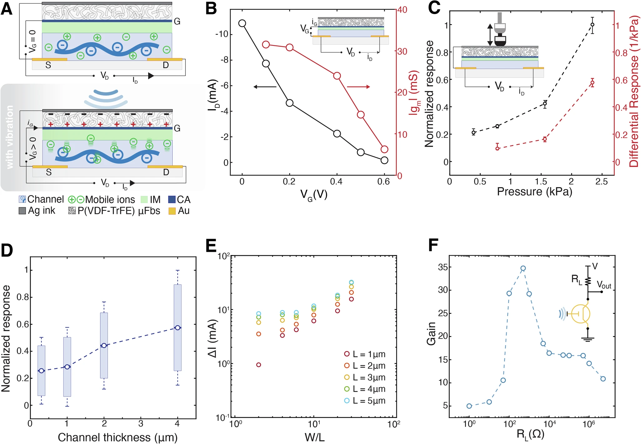 Piezoelectric ion gated organic electrochemical transistors for efficient vibration sensing and on-site amplification